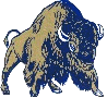 buffalo.gif (6601 bytes)